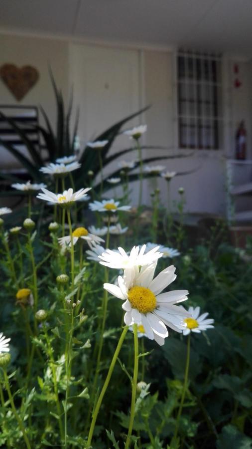 Country Lane Guesthouse Howick Extérieur photo